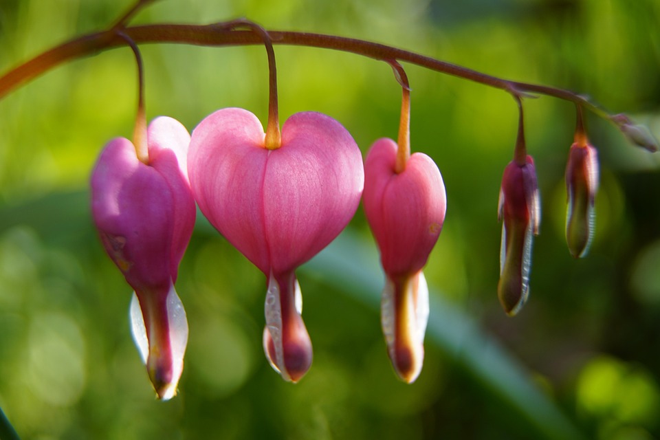 Seniorenreisen mit Herz: DRK bietet betreute Urlaubserlebnisse!