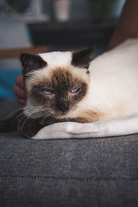 Siam Park: Europas beliebtester Wasserpark lockt Millionen Besucher!