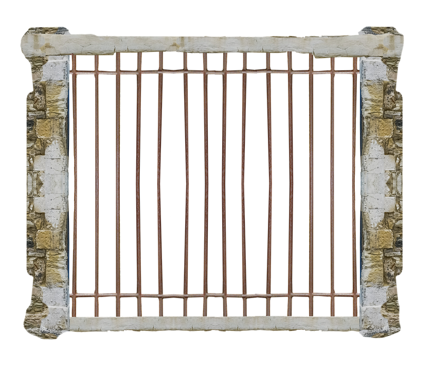 Sicher reisen mit Hund: Top-Tipps vom PEP Grimma für Tierhalter!