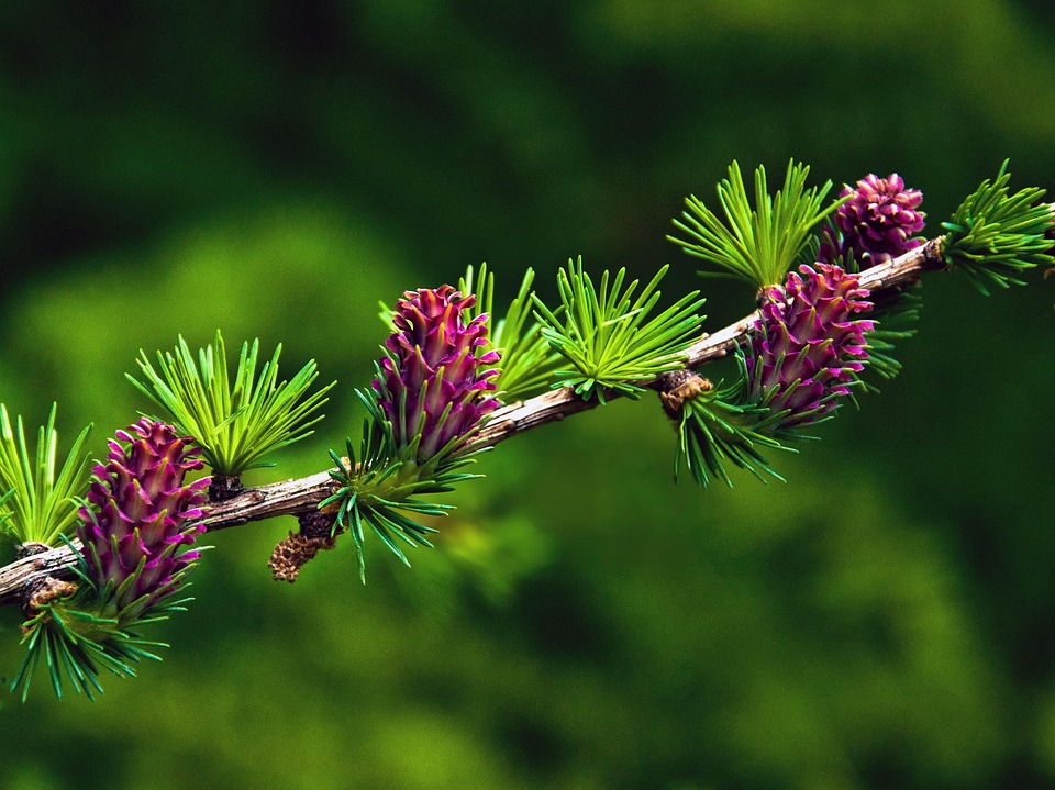 Sicherheits-Streit: Darf Ihr Kind allein auf dem Aida-Kreuzfahrtschiff?
