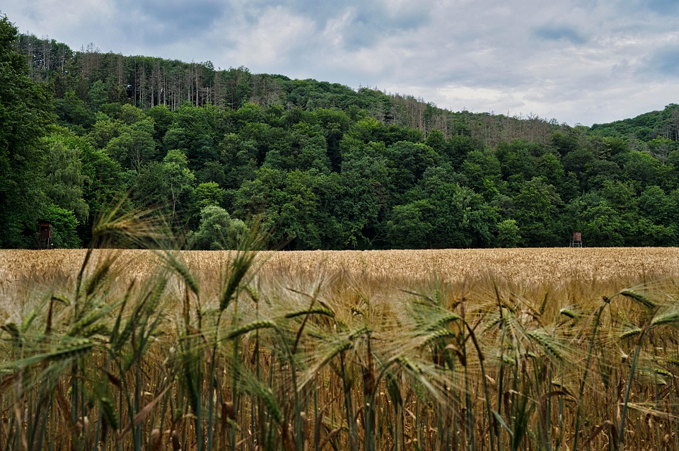 Sommer 2025: Diese 20 Reiseziele verzaubern Urlauber weltweit!