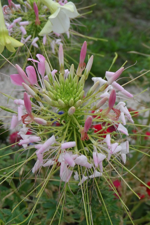Sommer 2025: Entdecken Sie die Geschichte und Natur von Saigon!