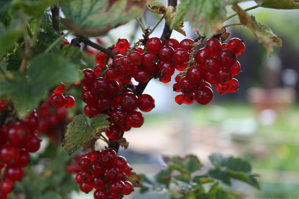 Sommer 2025: Gen Z entdeckt All-inclusive-Urlaub für Entspannung!