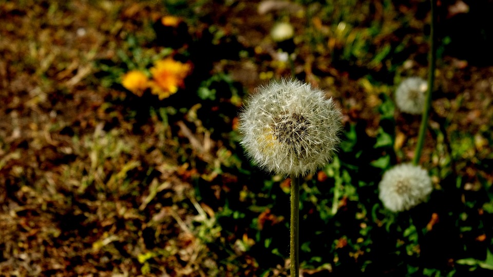 Sommer 2025: Günstige Pauschalreisen für den perfekten Urlaub!