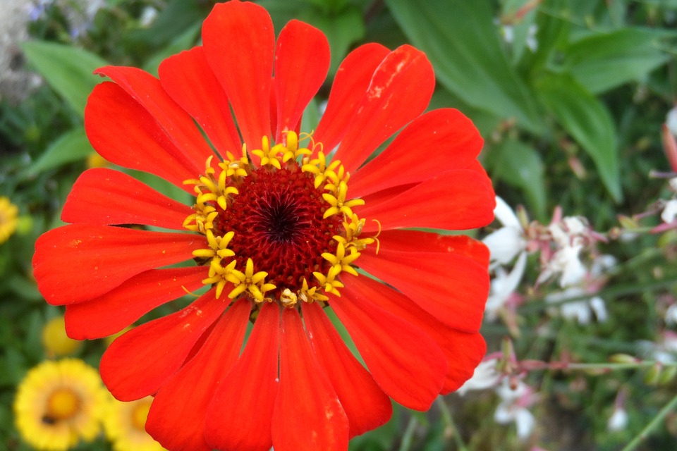 Sommer 2025 in Vietnam: Frühbucher-Rabatte und hohe Touristenzahl!