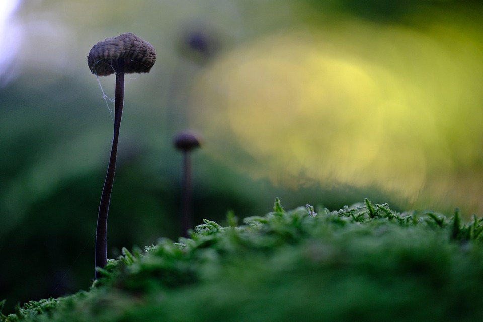 Spartipps für AIDA-Kreuzfahrten: So buchen Sie clever und günstig!