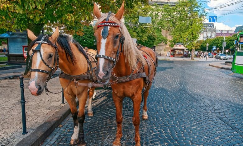 Tourismus
