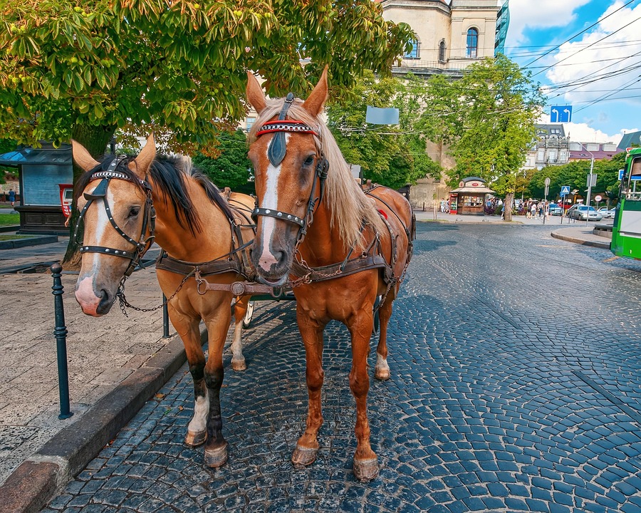 Stadtführung in Butzbach am 30. Mai fällt aus – Jetzt informieren!