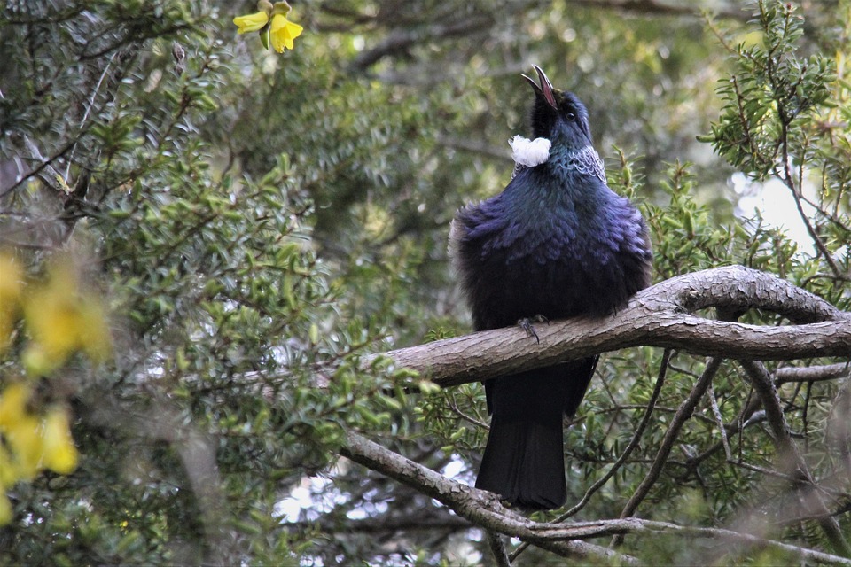 TUI erhöht Sitzplatzkontingent: Herbstferien jetzt günstiger fliegen!