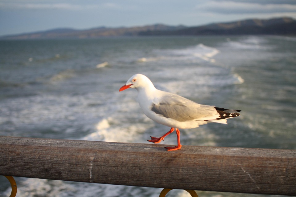 Tobias Seitz wird neuer Chief Brand Officer bei Obi: Frischer Wind für die Marke!