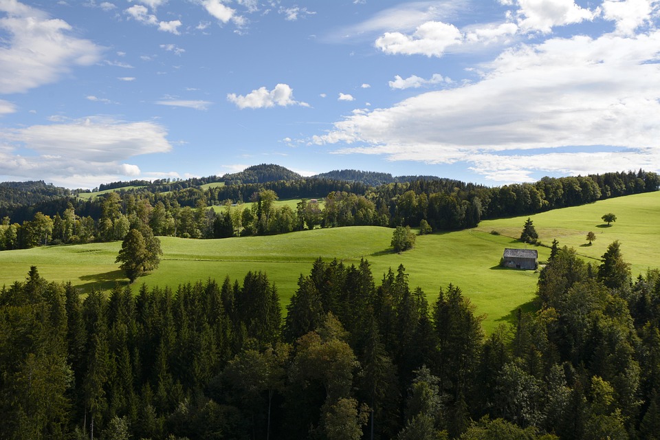 Toggenburg krönt sich erneut: Bester Ferienort der Schweiz 2025!
