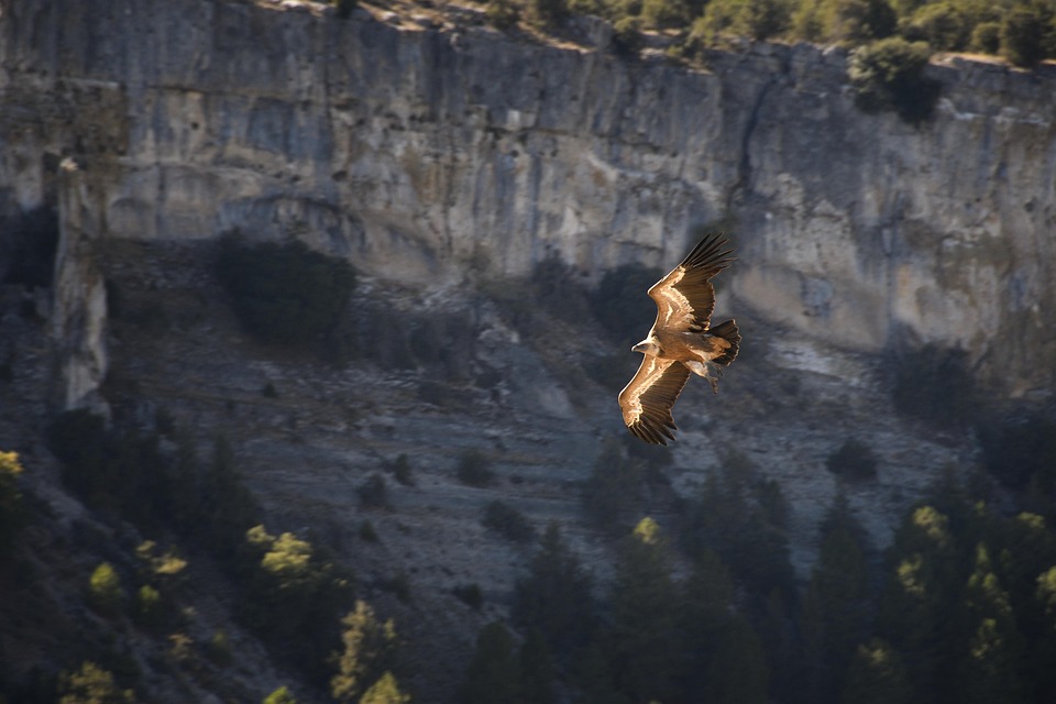 Touristenansturm am Mirador de Chipeque: Natur und Ökosystem in Gefahr!
