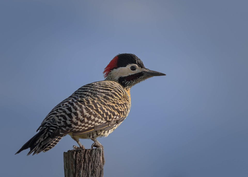 USA-Tourismus kollabiert: Deutsche Reisende bleiben fern!