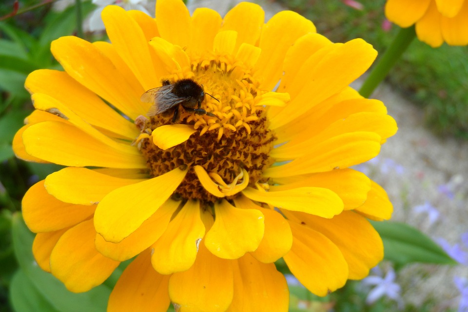 Unvergesslicher Sommer: Die besten Campingplätze am Lago Maggiore!