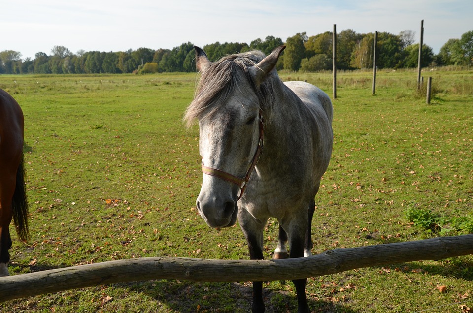 Urlaub in Spanien 2025: Sichere Tipps für sorglosen Reisegenuss!