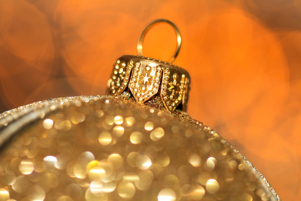 Urlaub mit Hund: Das neue Eco-Hotel in der Toskana begeistert!