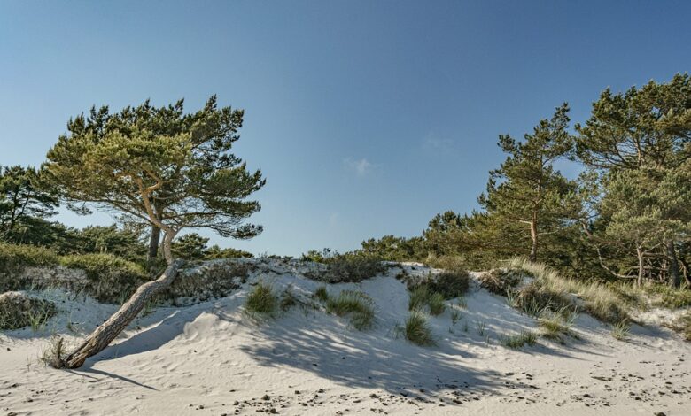 Reise