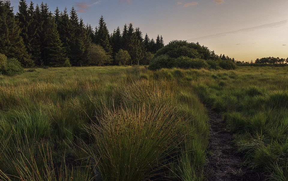Urlaub und Fußball-Drama: Mallorca-Fans erleben turbulentes Spiel!