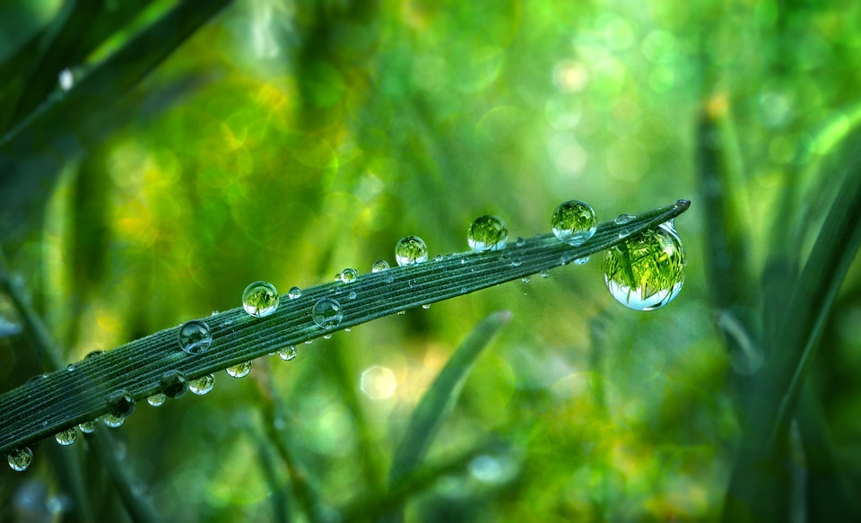 Verborgene Urlaubsjuwelen: Entdecke Serbiens unberührte Schätze!