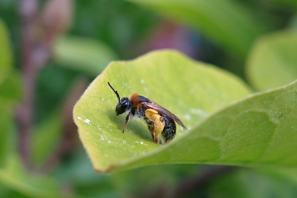 VfB-Legende Andrea Russo beendet Karriere: Neue Reise als Trainer wartet!