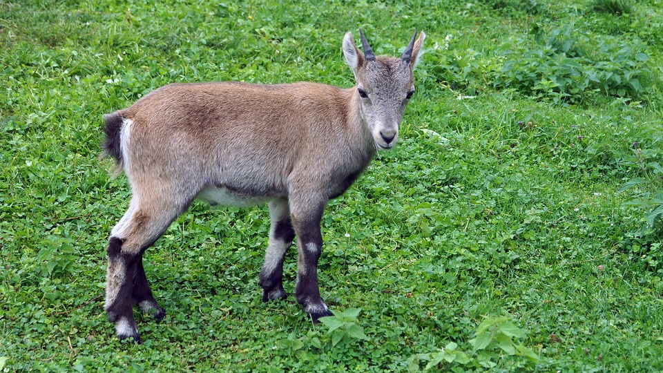 Vier Sternzeichen, die allein in den Urlaub fliegen – wer sind sie?