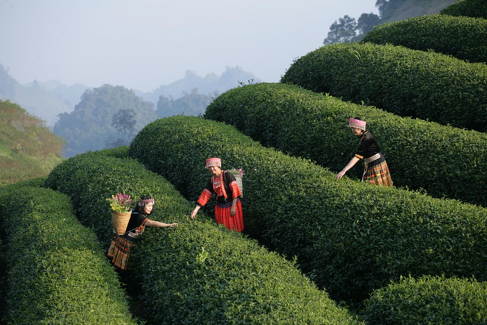 Vietnam und Malaysia: Neue Ära der strategischen Partnerschaft beginnt!