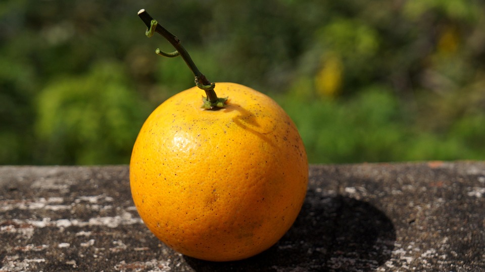 Vinh Longs Geheimnisse: Tourismus blüht mit neuen Attraktionen auf!