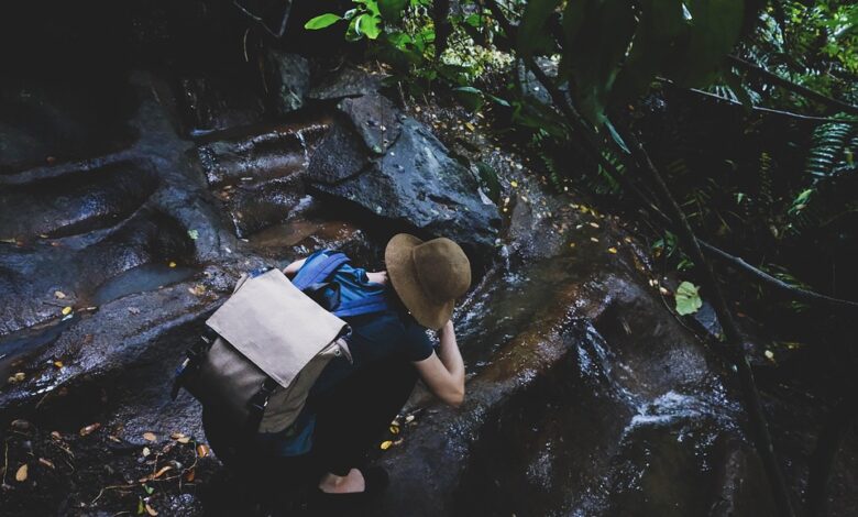 Reise
