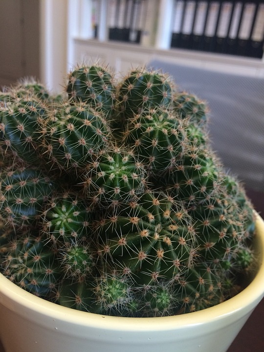 Widerstandskraft im Alltag: Menschen kämpfen gegen soziale Ungerechtigkeit