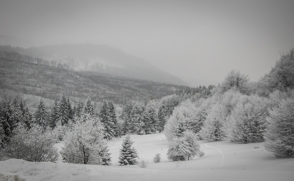 Wintertraum auf dem Wasser: MSC Sinfonia startet ab Izmir ins Mittelmeer!