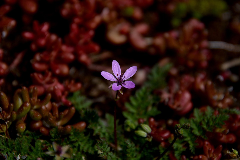Wochenend-Abenteuer: Entdecken Sie die besten Ausflugsziele rund um München!