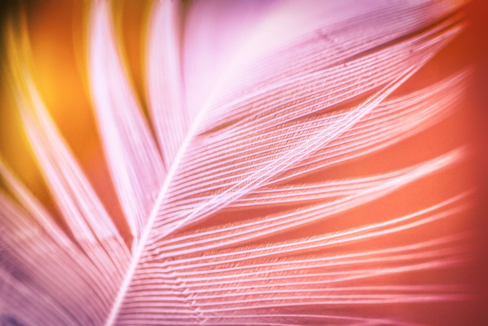 Zärtliche Begegnung: Touristin und Elefant in Thailand begeistern!