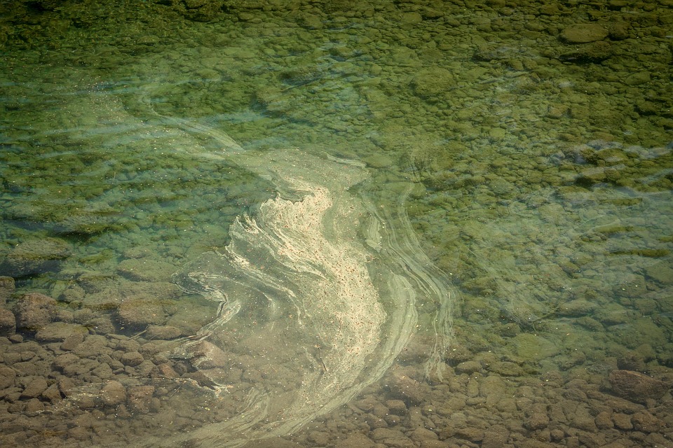 Allergiker aufgepasst: Juist – Ihre geheime Insel der Erholung!