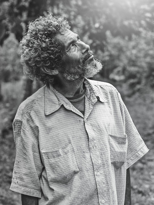 Auswanderin schwärmt: Leben auf Waiheke – Paradies mit geringen Kosten!