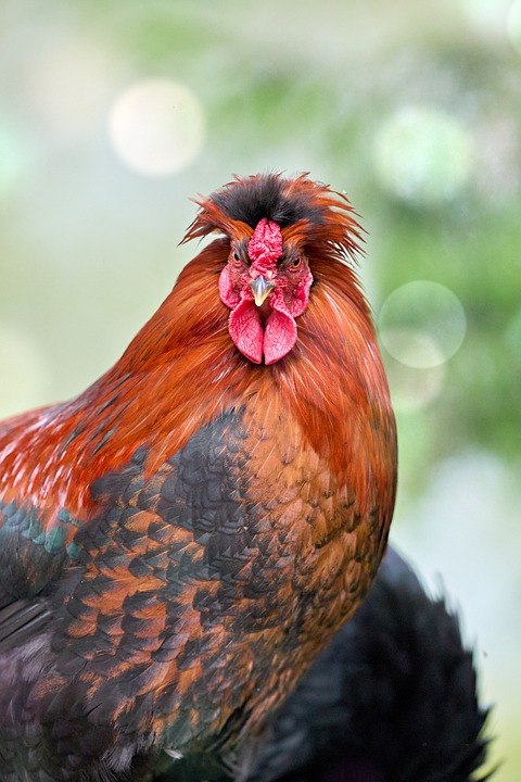 Campingpreise in MV steigen: Wütender Chef kämpft gegen Panik-Abreisen!