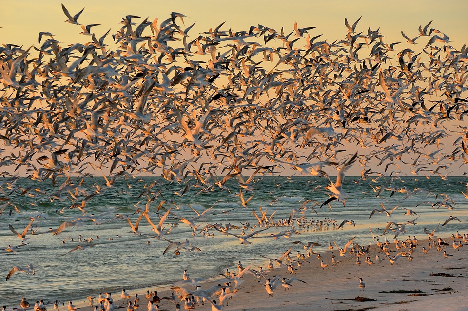 Chaos über Kreta: Paar erlebt Albtraumflug nach Urlaubstraum!
