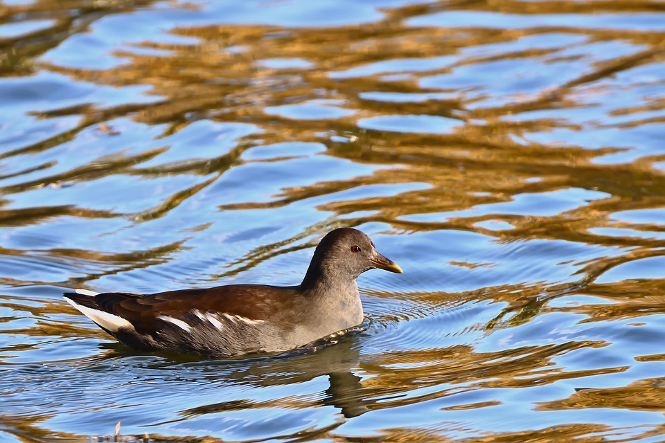 Cubs auf der Suche nach Pitcher-Helden: Kommt Sugano ins Team?