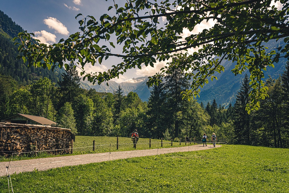 Dieter Bohlen plant spannende Neuerungen für DSDS in Hamburg!