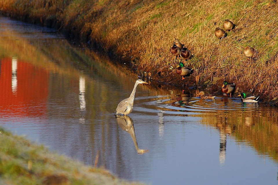 Eintracht Braunschweig: Trainingslager in Österreich und Testspiel gegen Kiel!