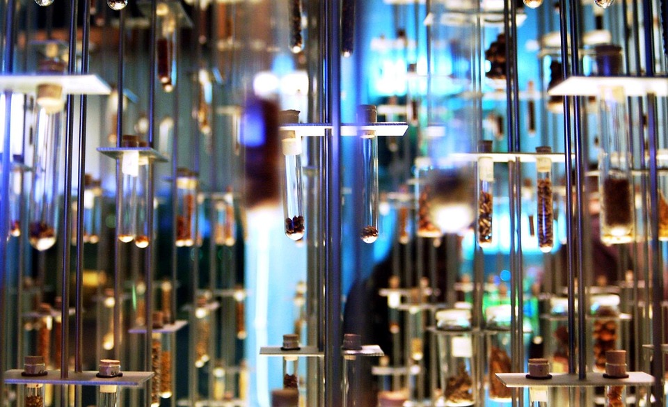 Erlebe Neuseelands Magie: Tauche ein in die Māori-Kultur!