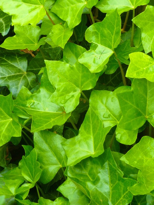 Evi Sachenbacher-Stehle: Ein unvergesslicher Familienurlaub im Zillertal!