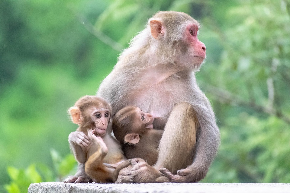Familien reisen teurer: Deutsche Bahn schafft Reservierung ab!