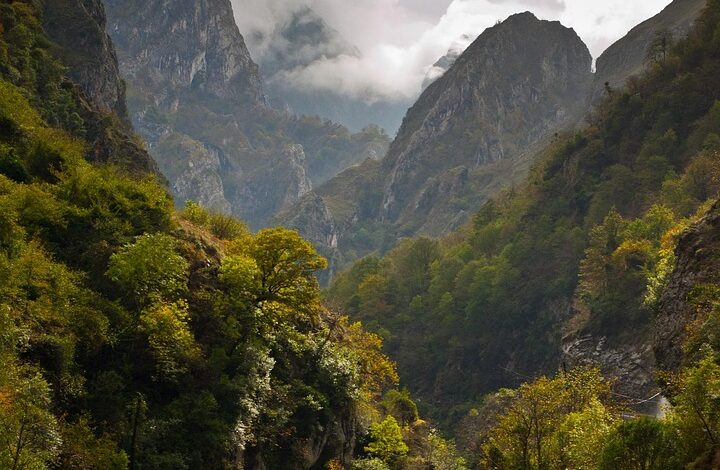 Reise