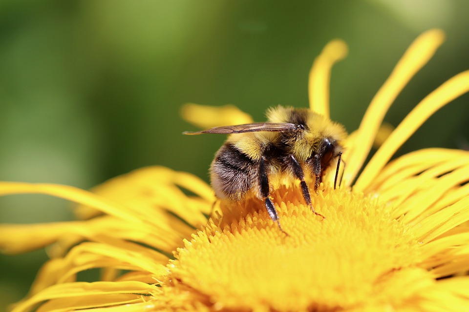Helene Fischer wird zum zweiten Mal Mutter – Glücksmomente am Ammersee!