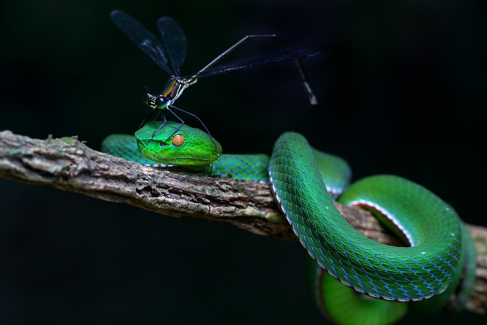 Hue wird zur Drehscheibe für internationale Investitionen!