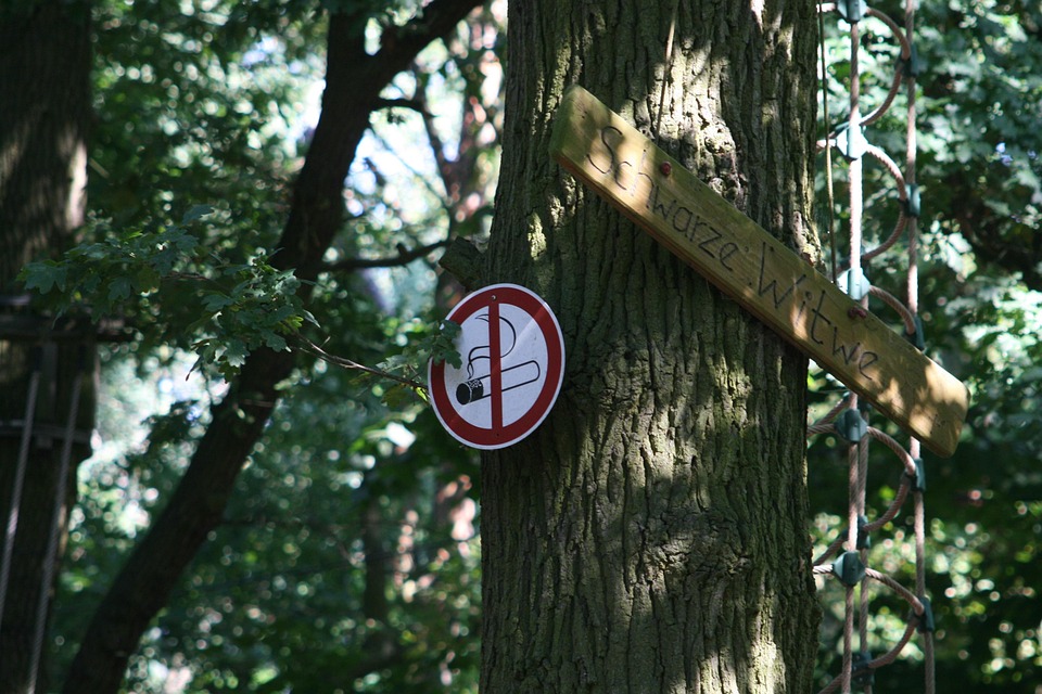 Kletterwald am Wallberg: Spannendes Naturerlebnis für die ganze Familie!