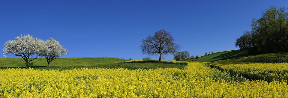 Kultur und Sport: Neuer Kongress in Hanoi für nachhaltige Entwicklung!