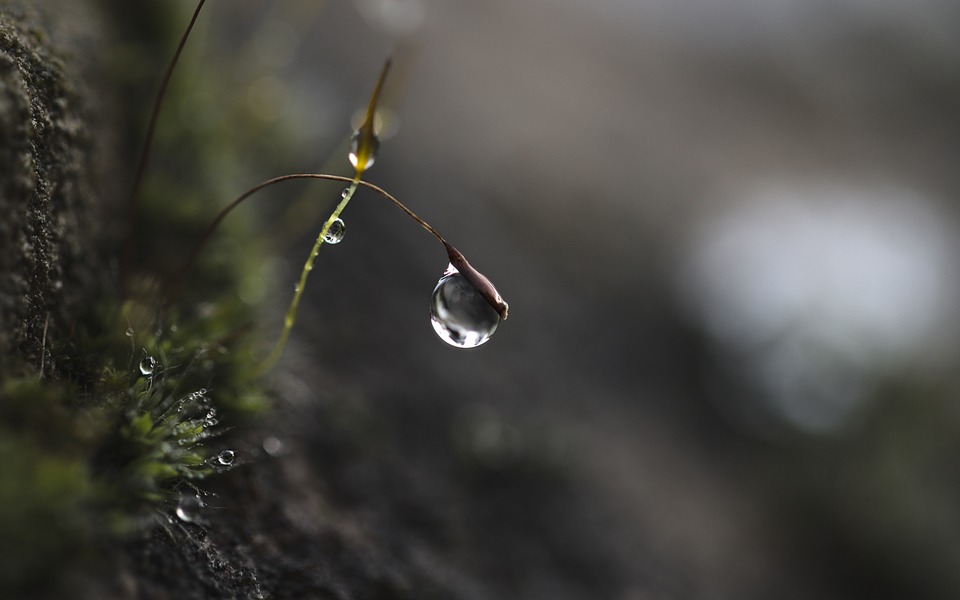 Kulturindustrie im Fokus: Wie  Black Myth: Wukong  die Szene verändert