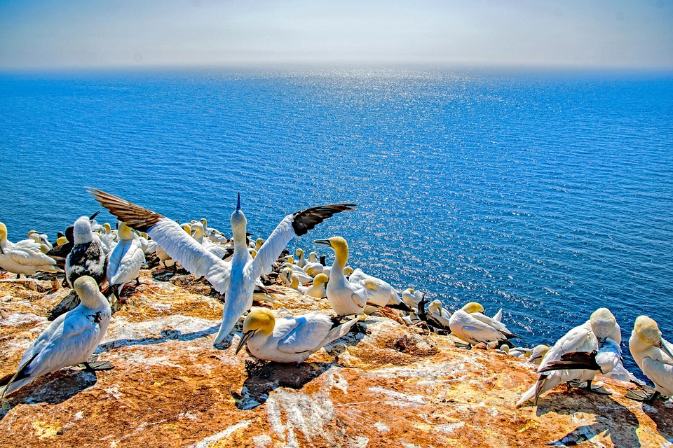 Lange Staus zwischen Mörlenbach und Reisen – Verkehrslage bleibt angespannt!