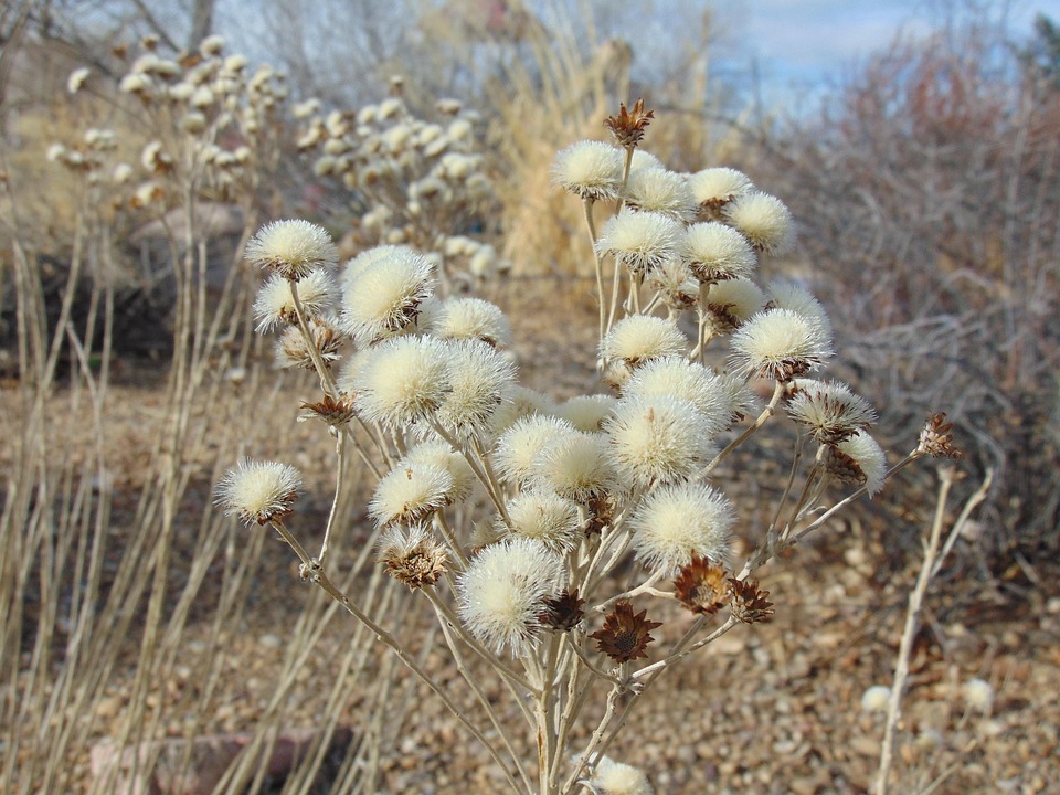 Last-Minute-Kreuzfahrten: Entdecken Sie die AIDA-Restplätze für den Sommer!